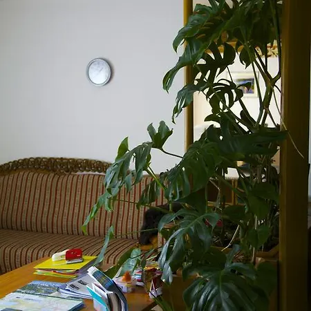 Hotel Alparti Mini 3*