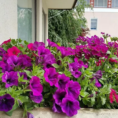 Hotel Alparti Mini Bled